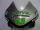 2003-2004 Honda CBR600RR Motorcycle Fairing - Silver Green Glossy Black