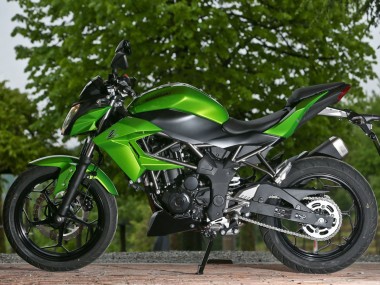 Best 2015-2016 Kawasaki Z250/Z300 Motorcycle Fairings - Green Matte Black