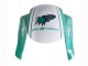 2005-2006 Honda CBR600RR Motorcycle Fairings - Light Green White Glossy Black Joe Rocket