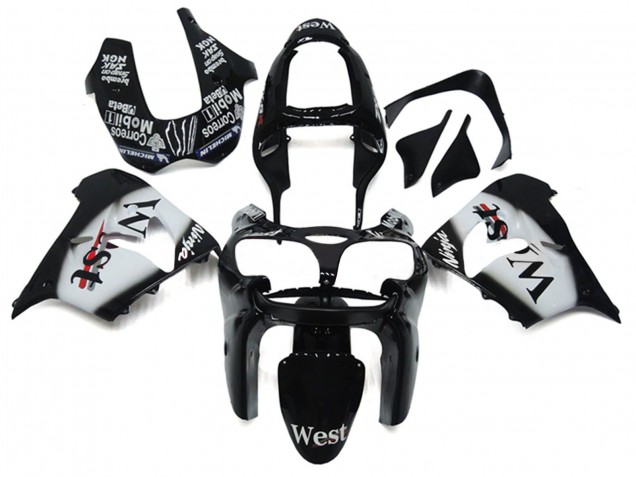 2002-2003 Kawasaki ZX9R Motorcycle Fairings - Glossy Black White West