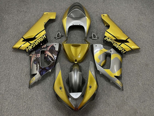 Gold and Silver 2005-2006 ZX6R Motorcycle Fairings