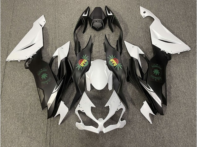 Happy Face 2019-2023 ZX6R Motorcycle Fairings